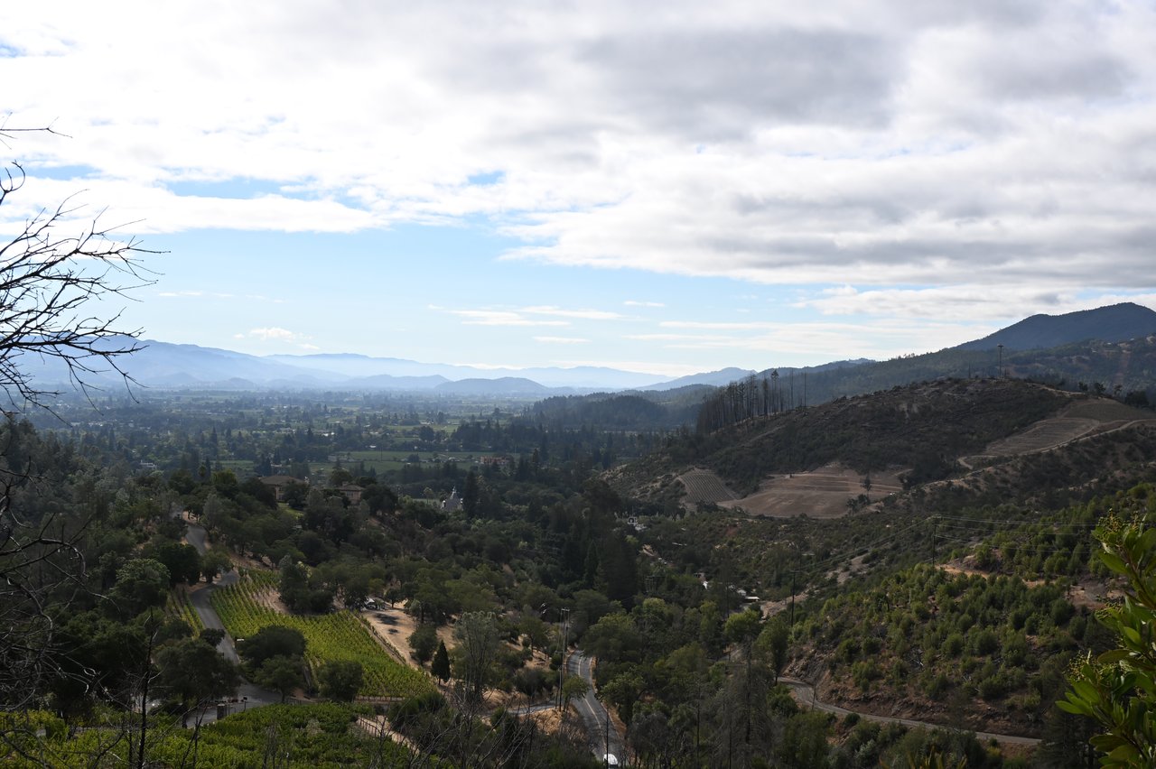 2910 Spring Mountain Rd