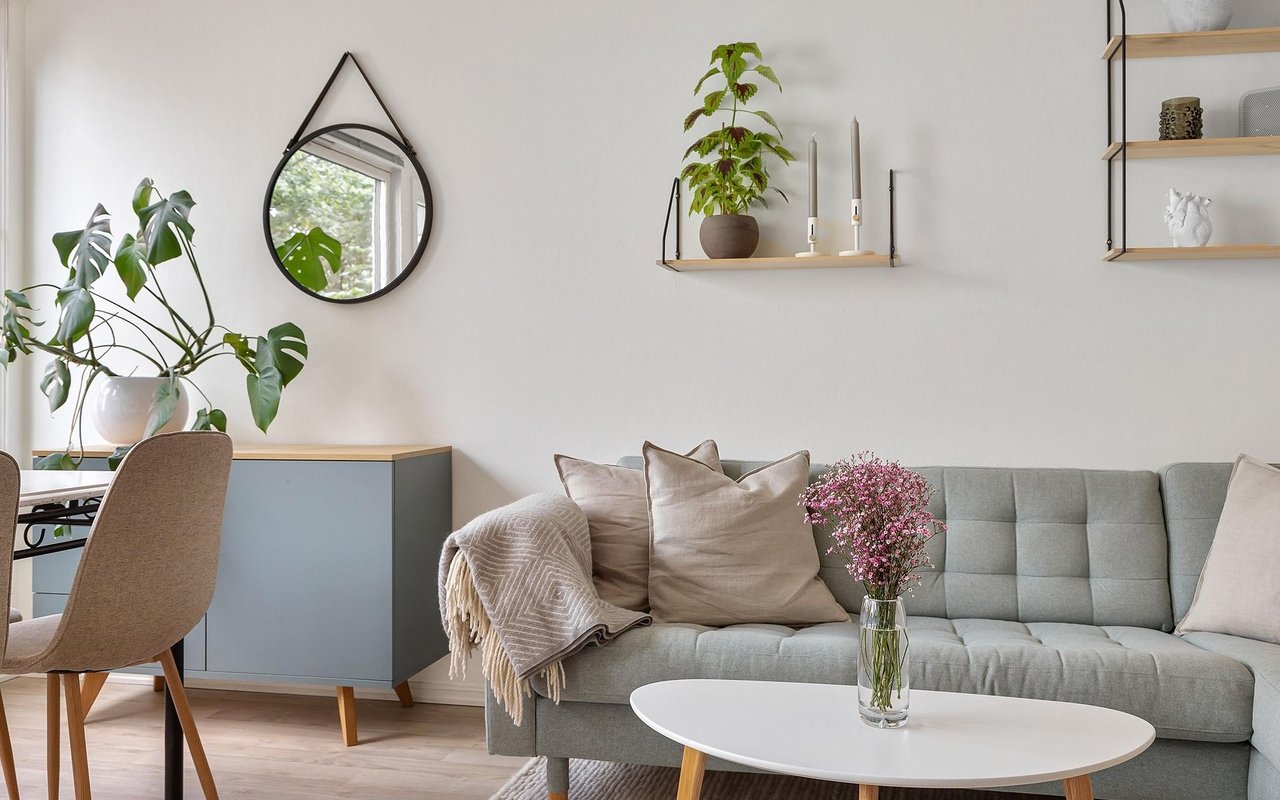 Bright living room with a gray sofa, white oval coffee table, and leafy plants.