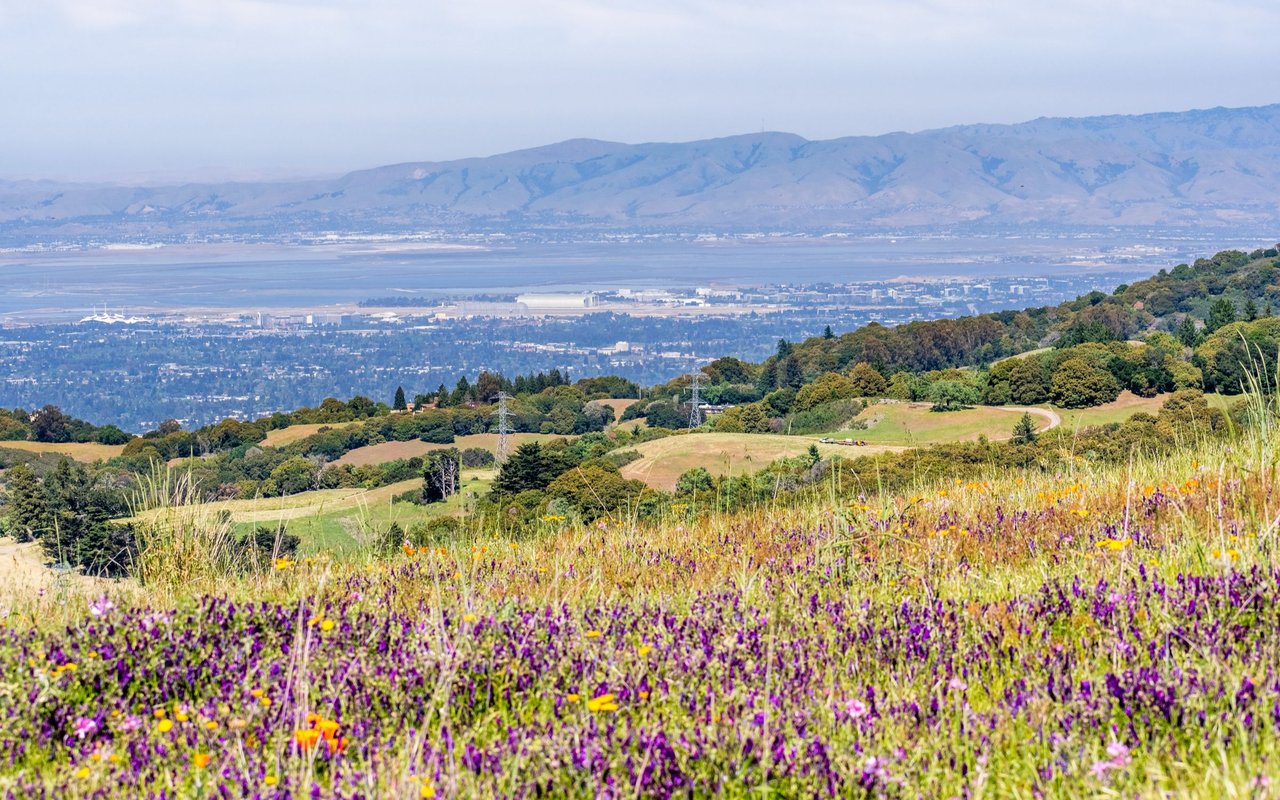 Blossom Valley