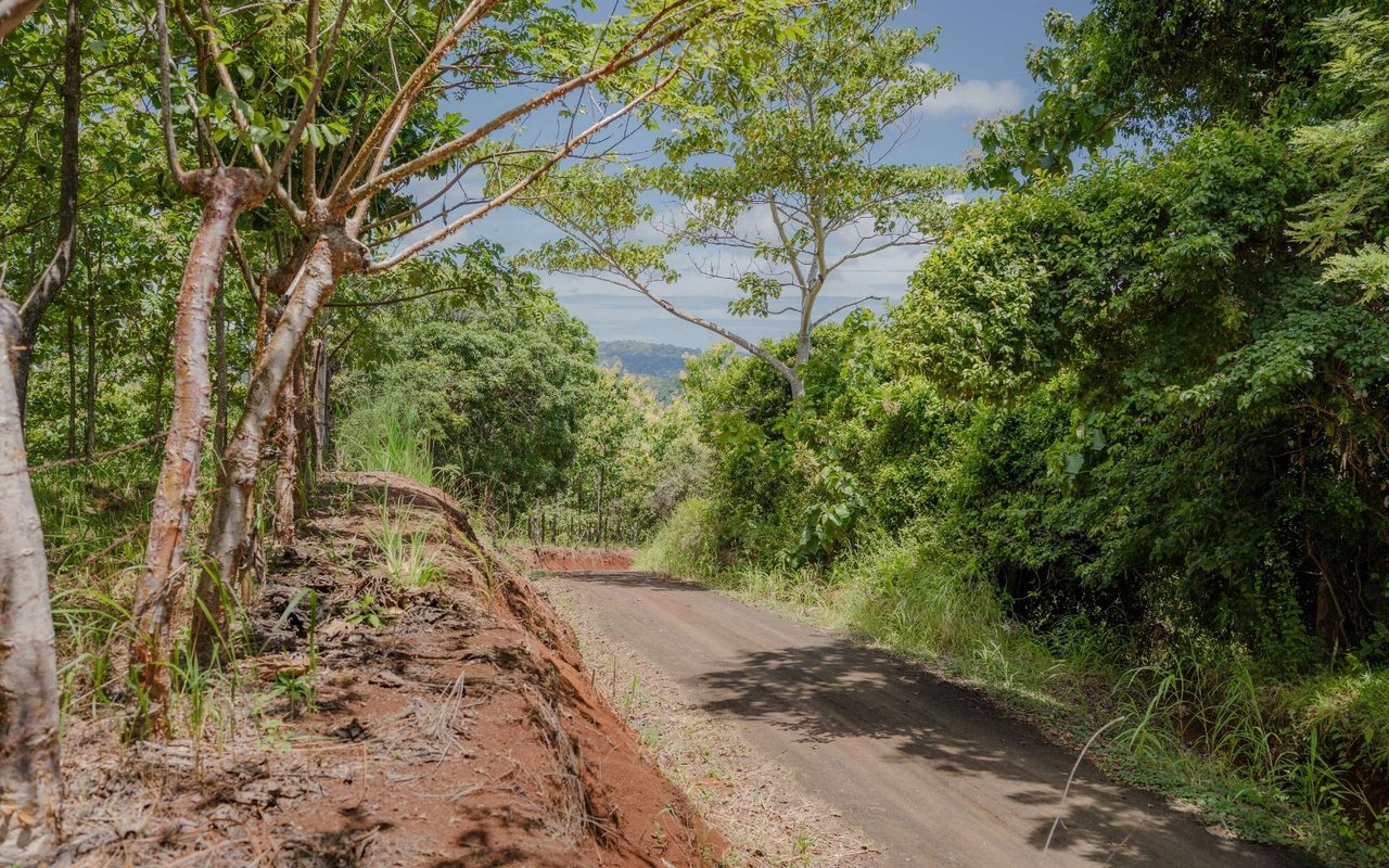 Ocean View Ridge Farm | 135-Acre Estate Near Playa Hermosa, Jacó