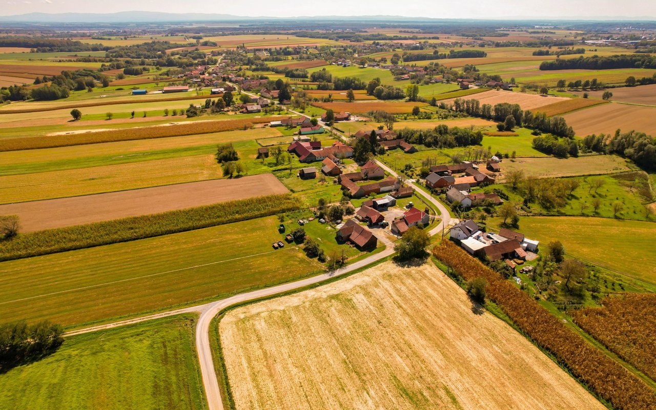 Aerial view of homes and barns among broad green and golden fields, crossed by a winding road.