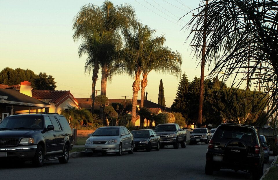Established homes and palms on a Maywood residential street in December 2009