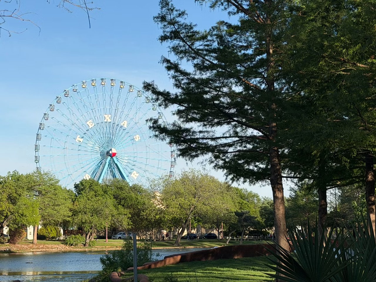 Places to Relax After Work in Dallas, TX