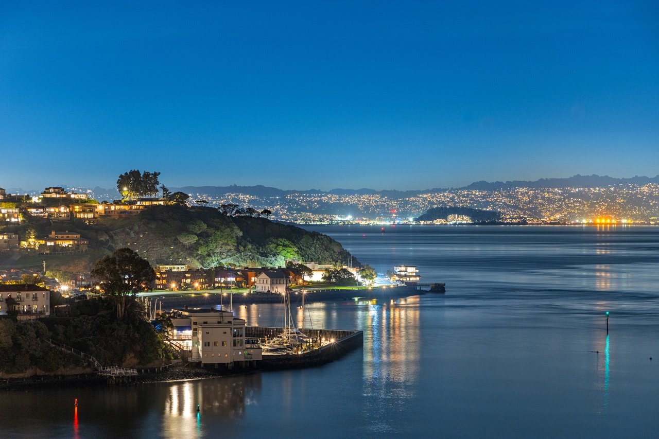 Picturesque Bay Views on Belvedere Island