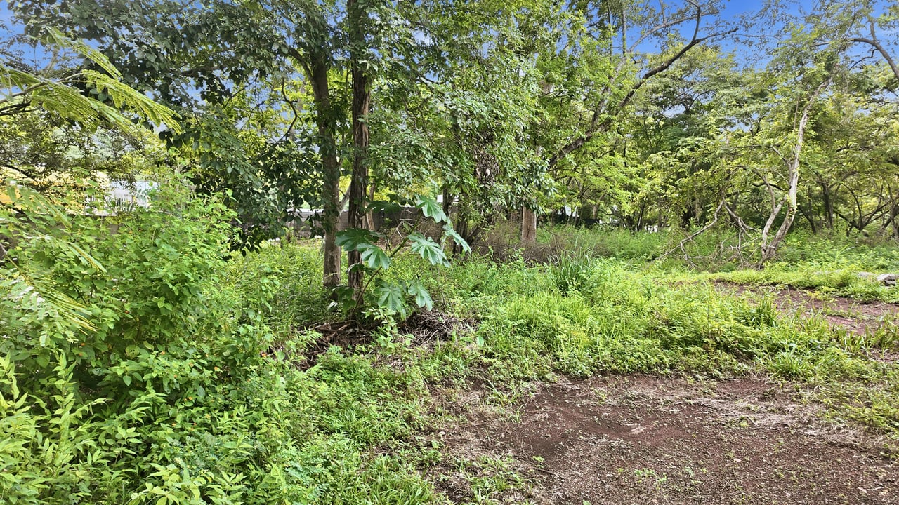 1,000 M2 Coastal Lot with Permits – Playa Grande 