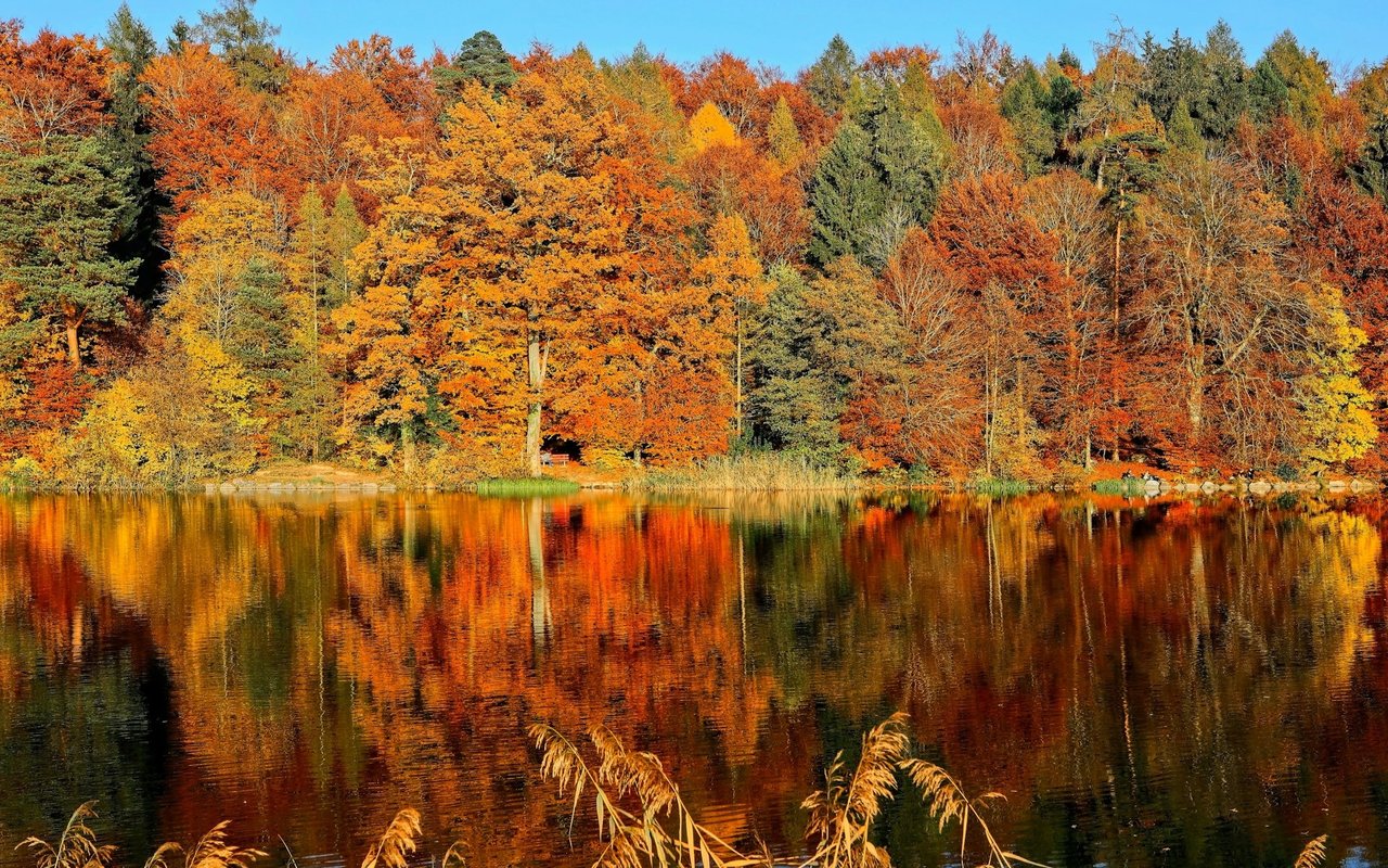 5 Great Reasons to List Your Home During the Fall