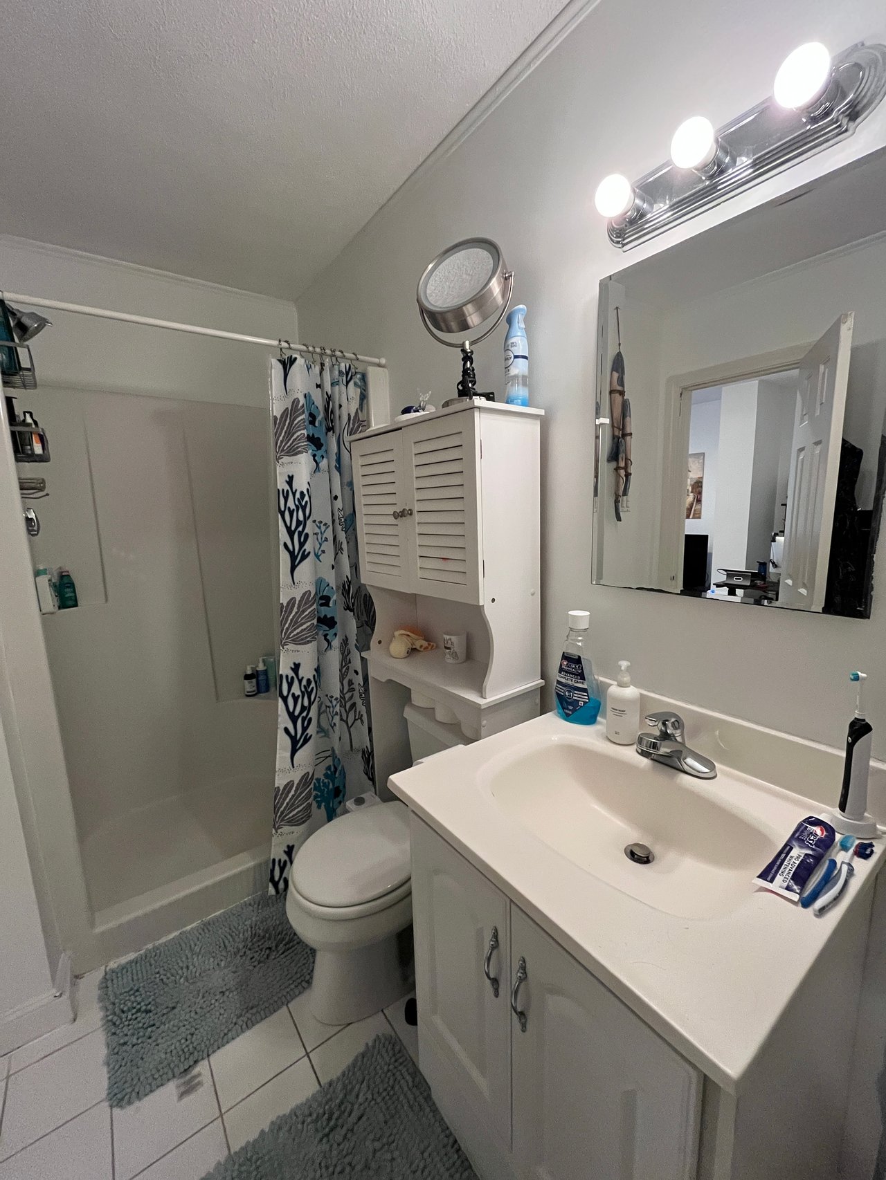 AUGUST - Private Entry 1 bed 1 bath on Back Bay / South End Border - Pets Negotiable! 