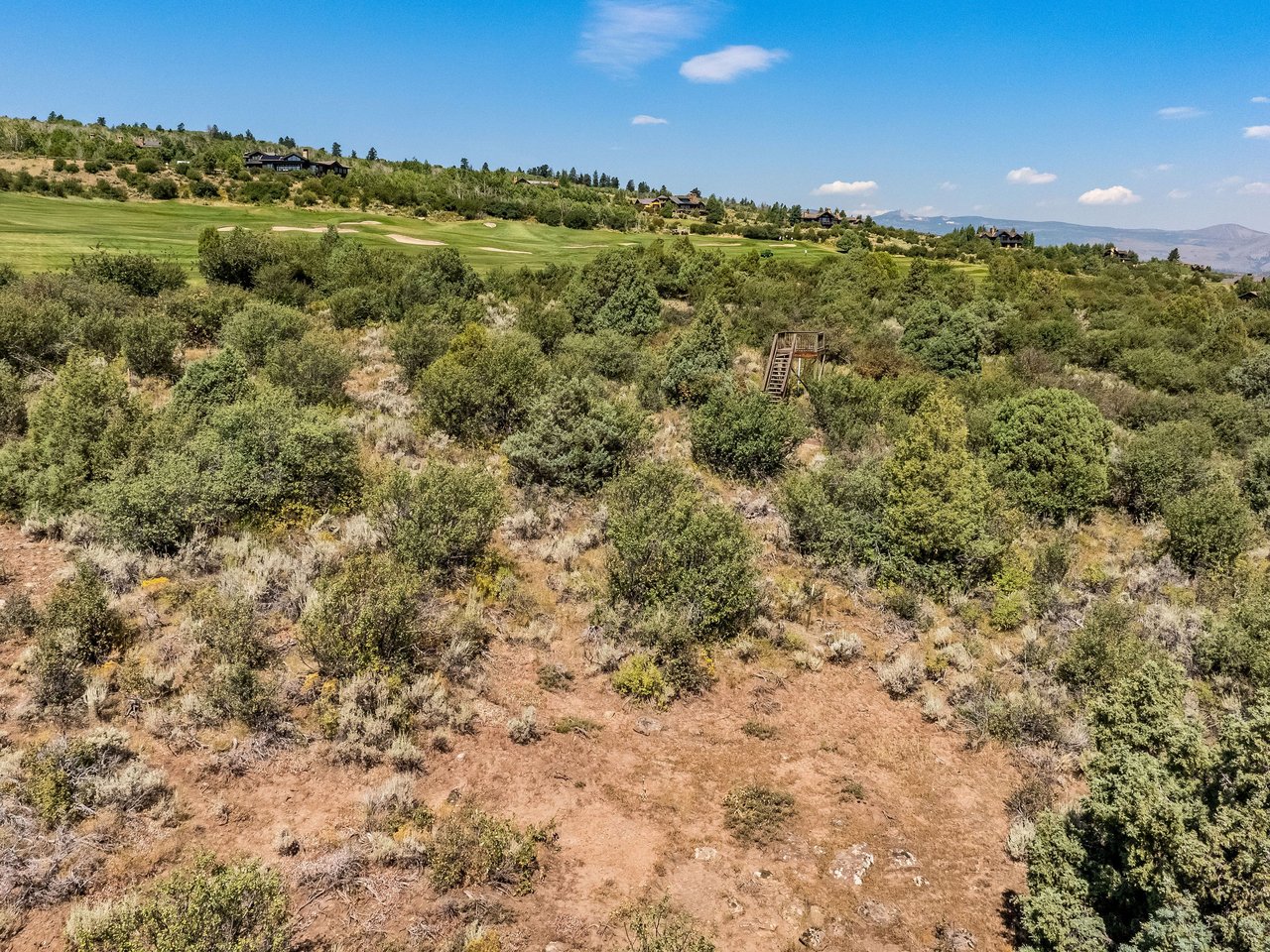 217 Saddle Rock