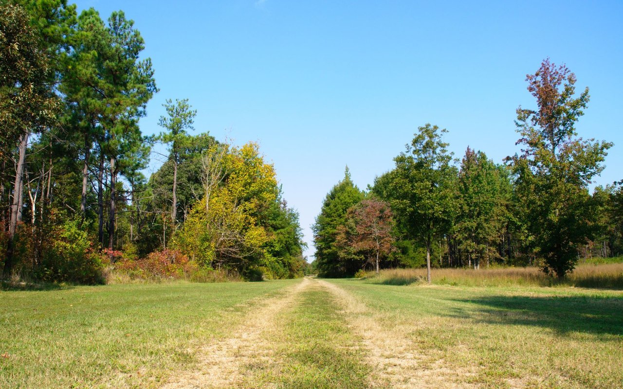 Chesnee