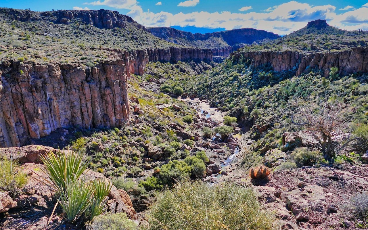 Kingman