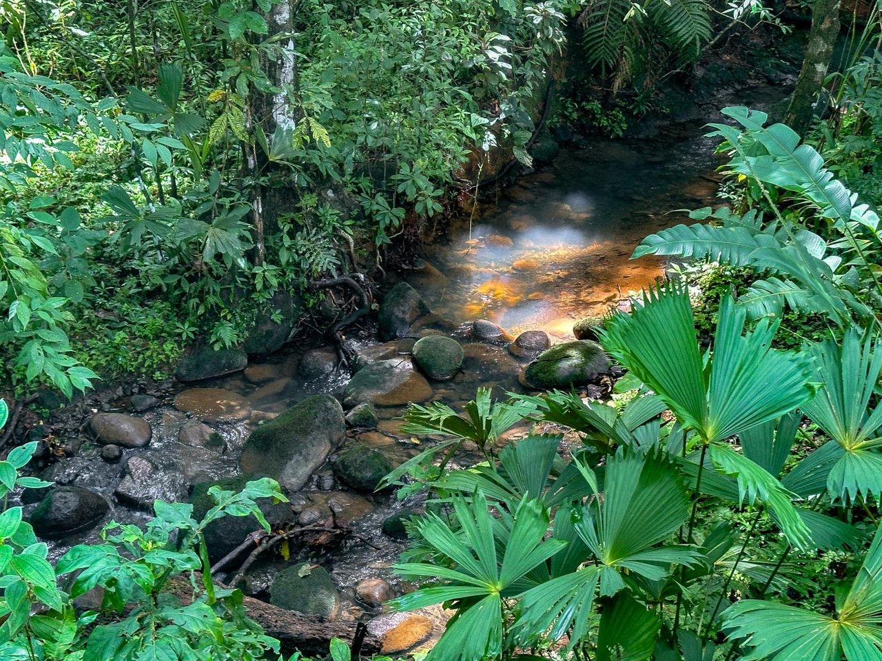 Ojochal Jungle Retreat for Sale with River, Pool, and Income-Generating Casitas