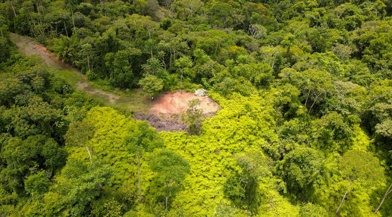 Spectacular Ocean View, Giant Resort Site, New Private Preserve Home perched on the Ojochal Front Ridge