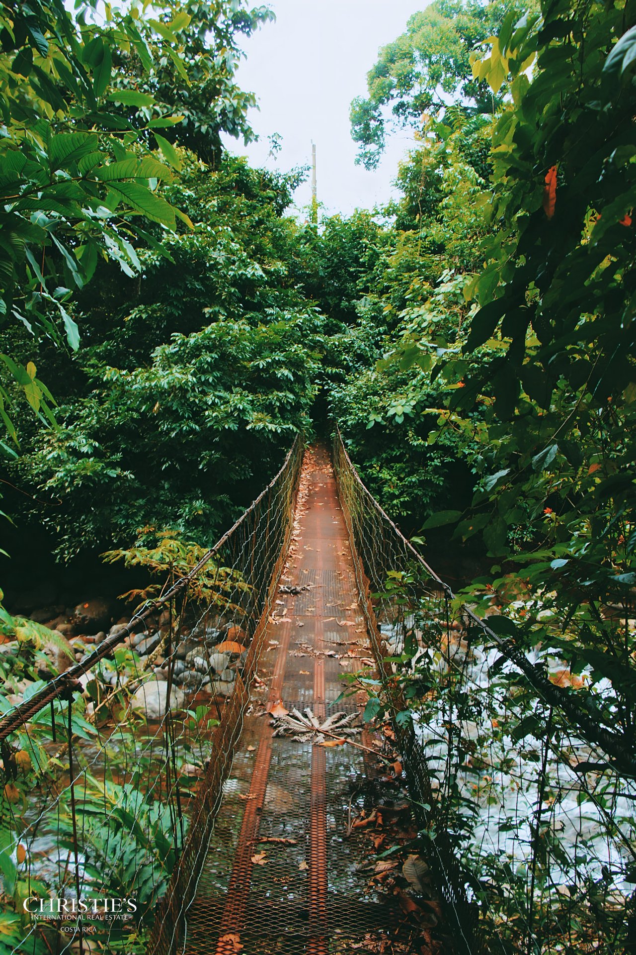 Finca Isla Rainforest Retreat – A Rare Income-Producing Paradise