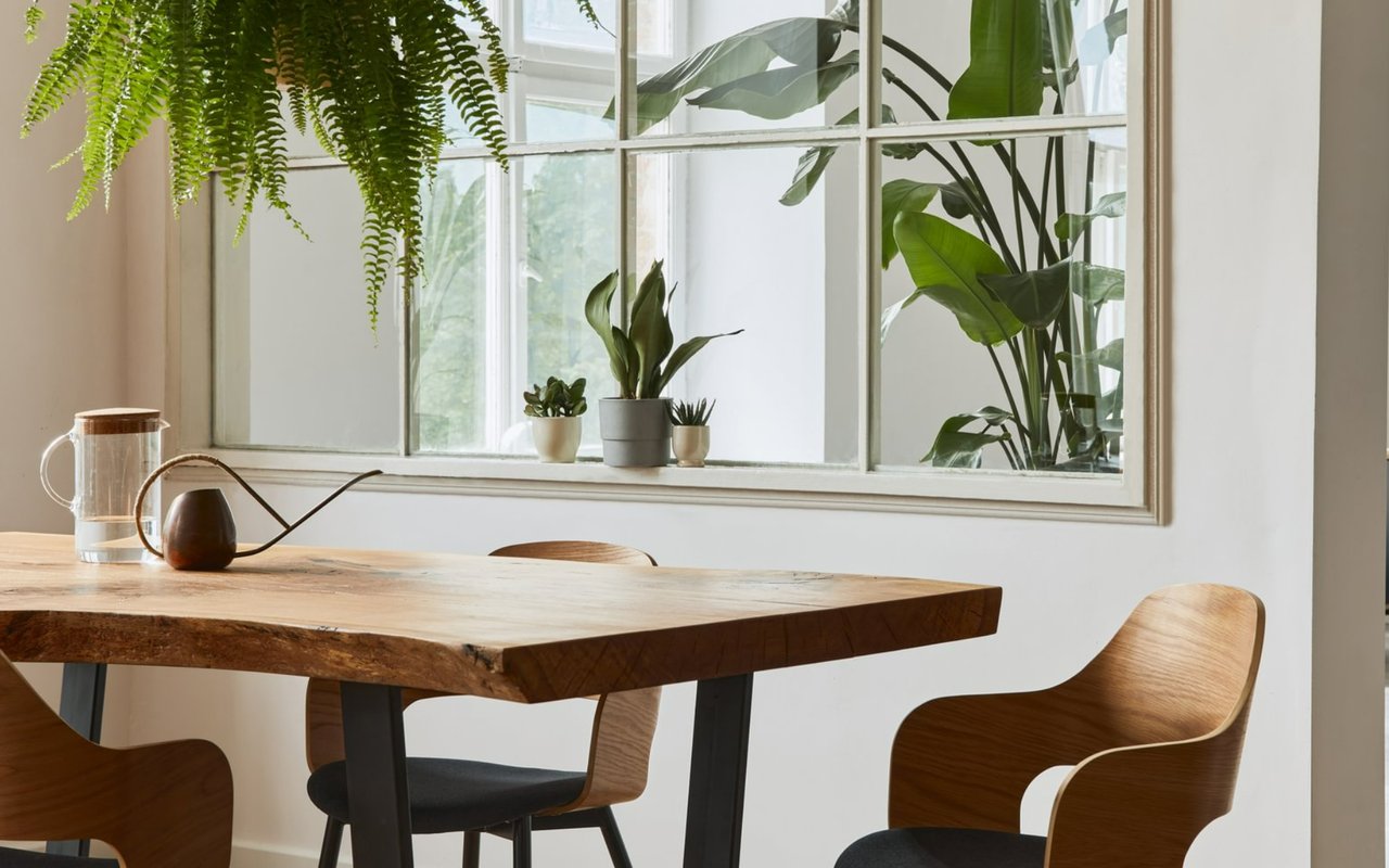 The Beginning of an Economic Recovery