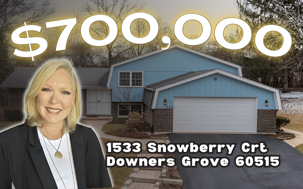 Spacious & Stylish in Orchard Brook | 1533 Snowberry Ct, Downers Grove