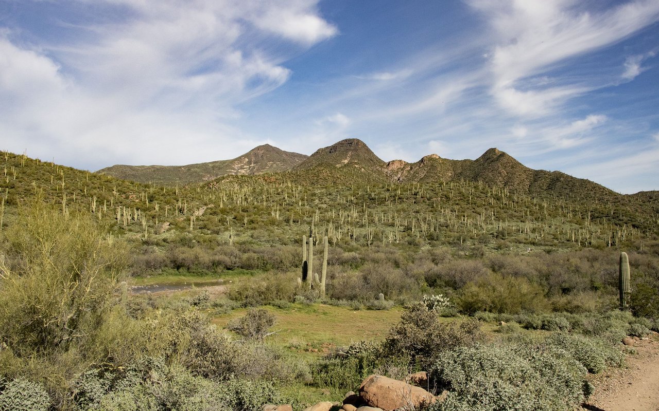 Cave Creek