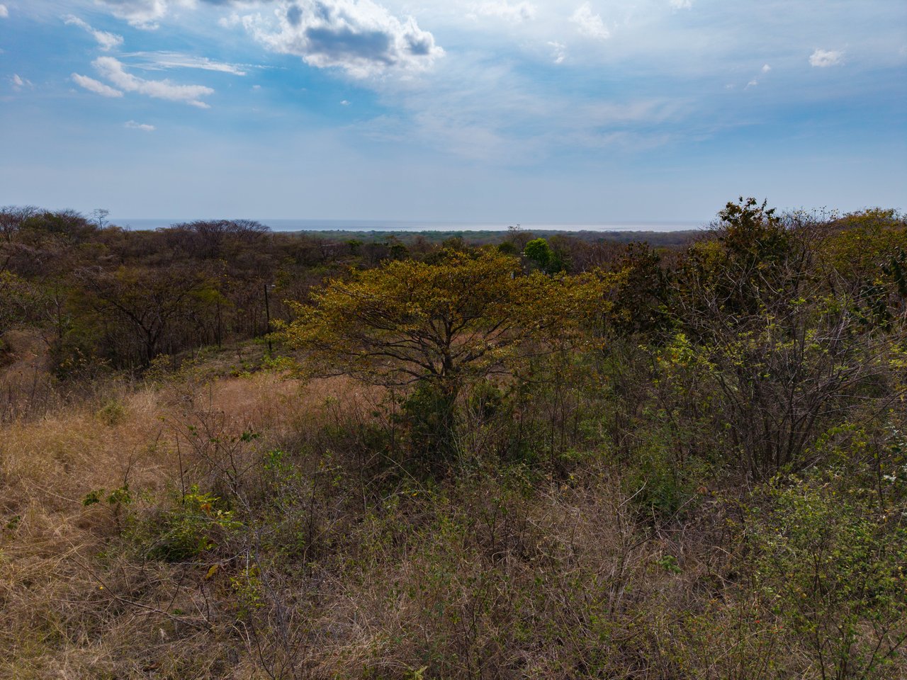 Los Pargos Lot 4-18 | Countryside, Mountain and Near the Coast Agricultural Land For Sale in Playa Negra