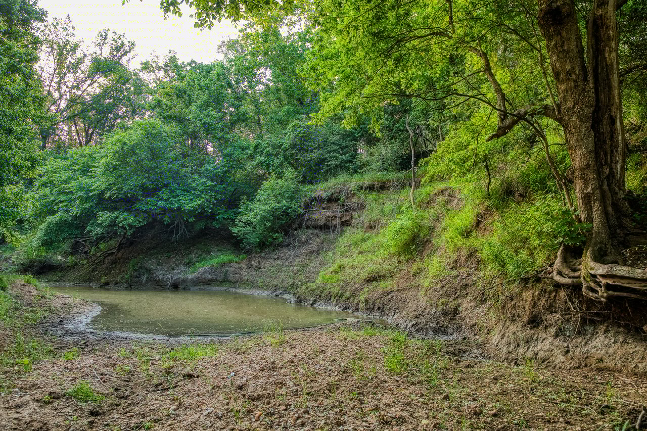 Revival Ranch TX