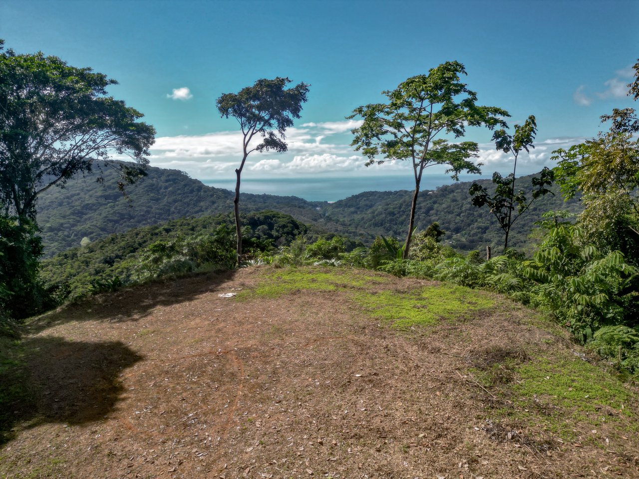 A Rare Thermal-Wellness Development Opportunity - Cacao Estates