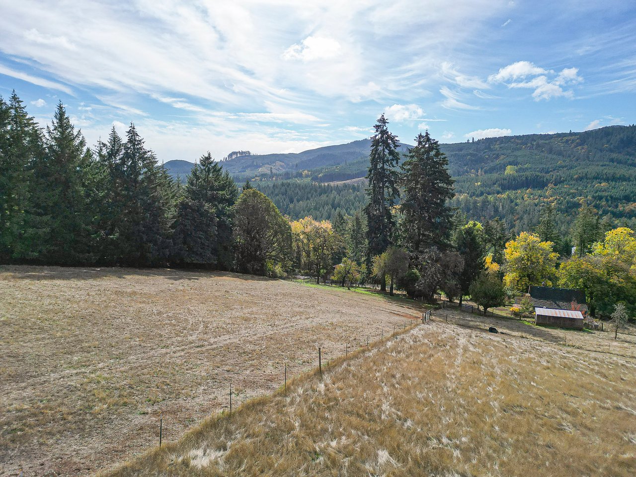 Panther Creek Homestead