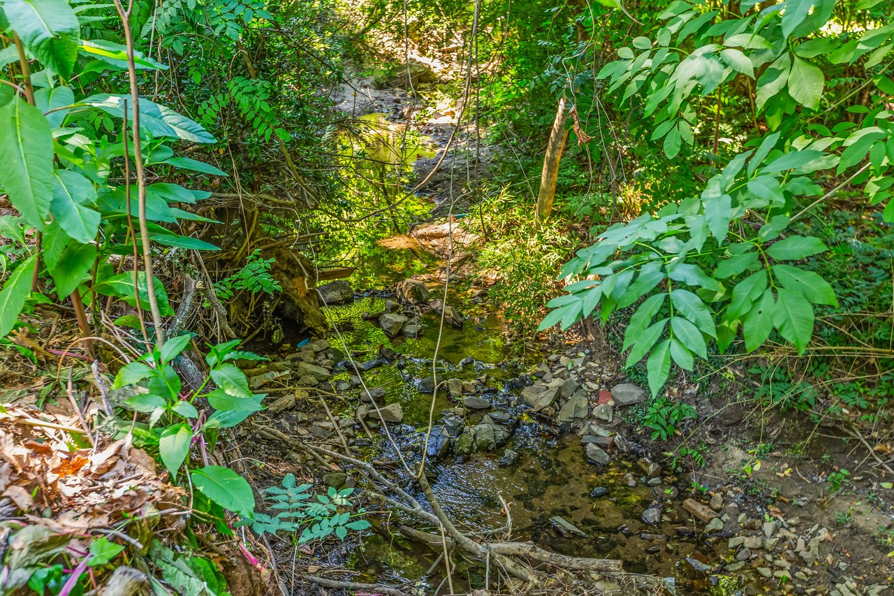 Creek running along the back of the property, an unexpected joy in the heart of a busy city