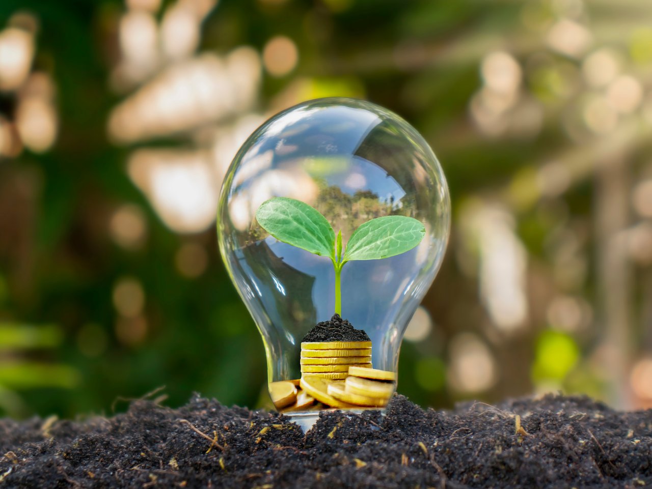 Home Assessment "Don'ts"