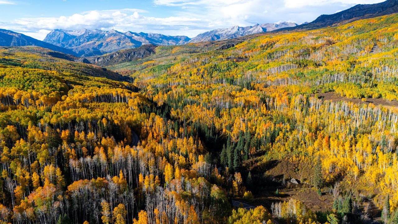 Kebler Pass in the Fall: Colorado’s Golden Wonderland