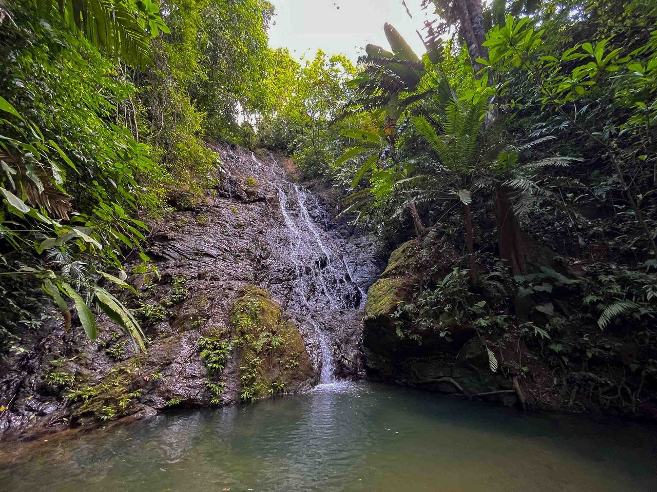 Waterfall Home in Private Community Affordable Jungle Home