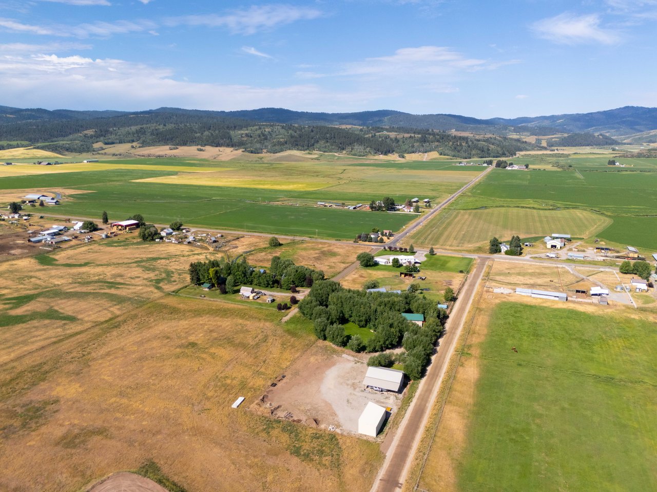 141 COUNTY ROAD 184