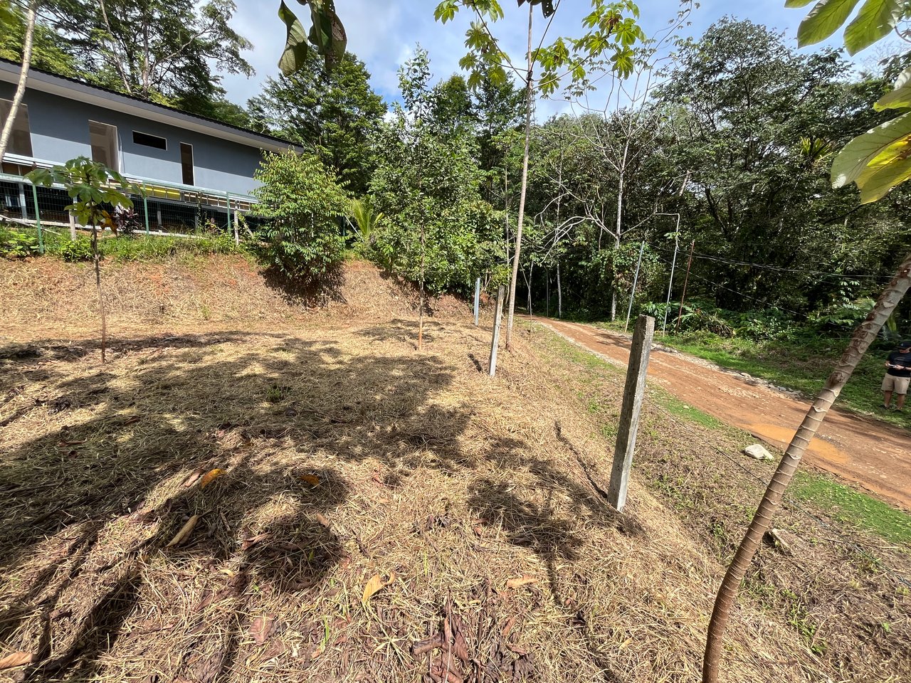 Affordable Uvita Lot UNDER $200-per-sqm - Perfect for Your Dream Home or Airbnb Investment