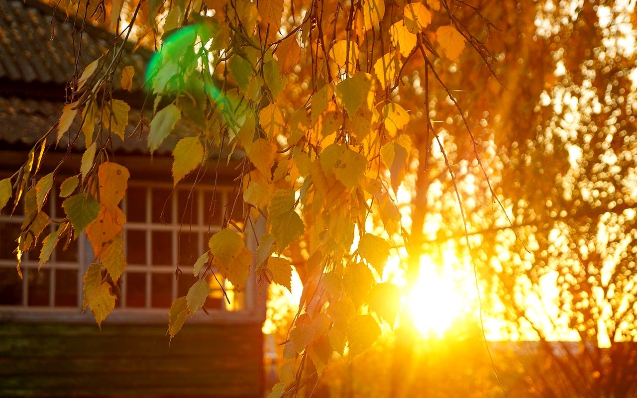 The Impacts of Home Sales Seasonality on the Real Estate Market cover