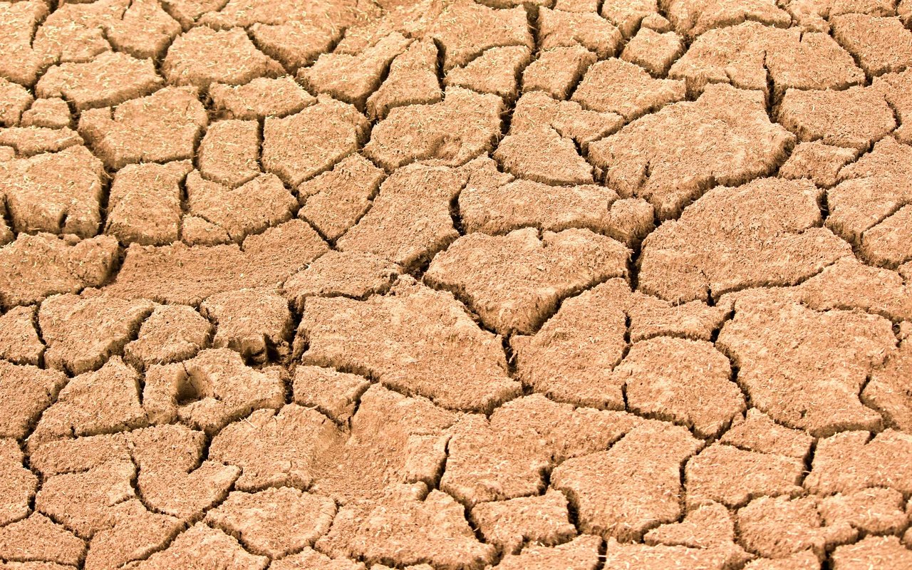This is What’s Behind the Severe Housing Drought