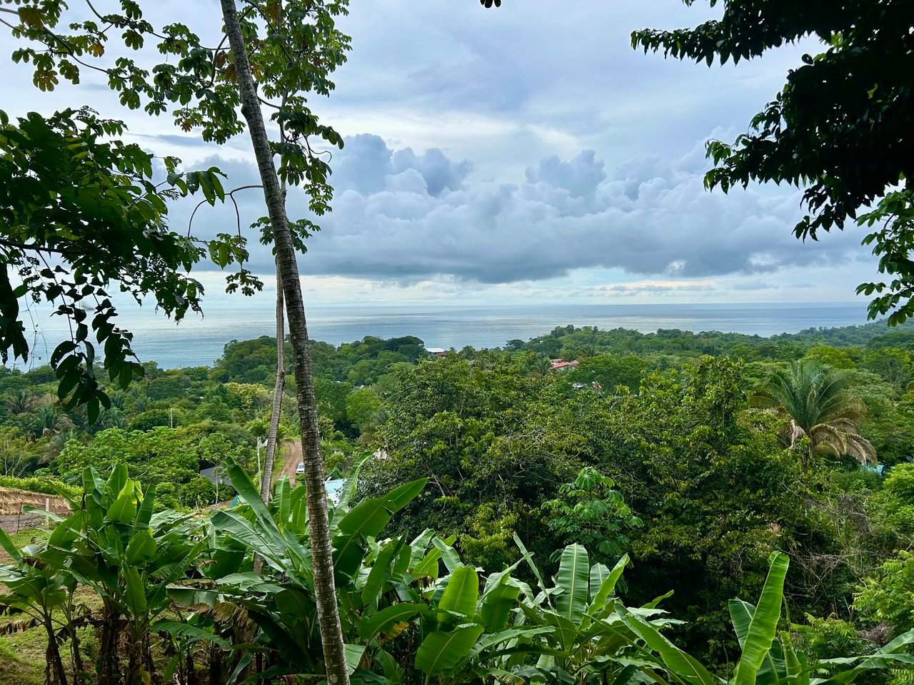 Ocean View Property in Playa Hermosa - Over 1 Acre