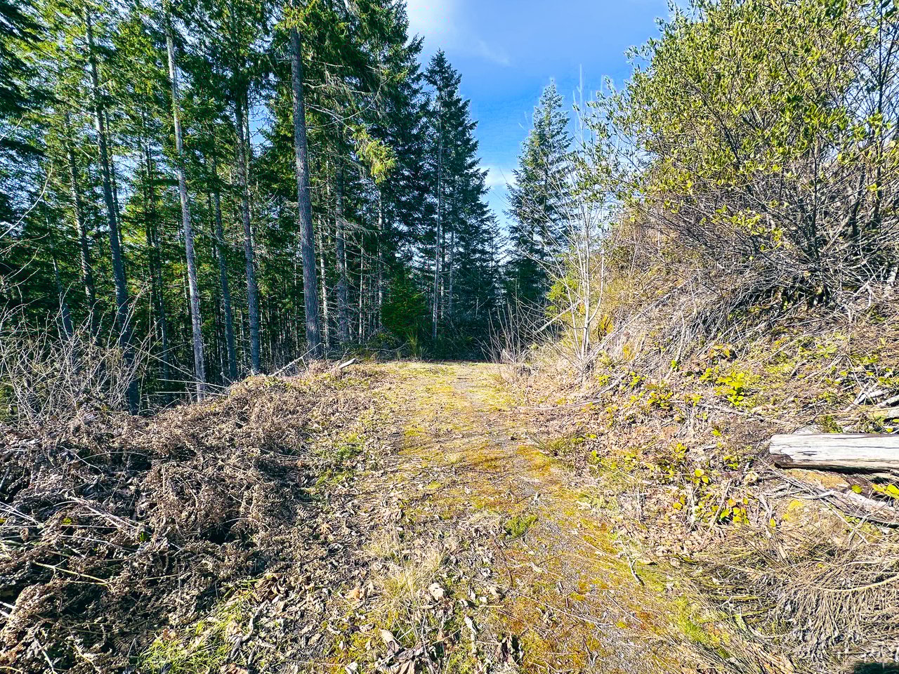 Smith River Back Woods