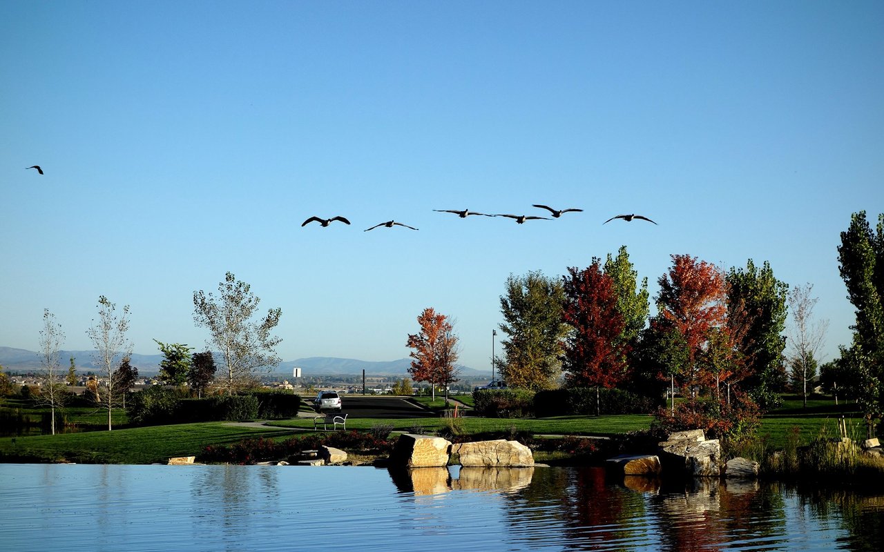 Broomfield