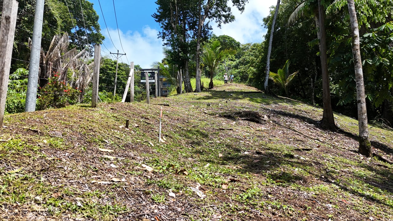 Walk to the Playitas beach, Titlled Building lot