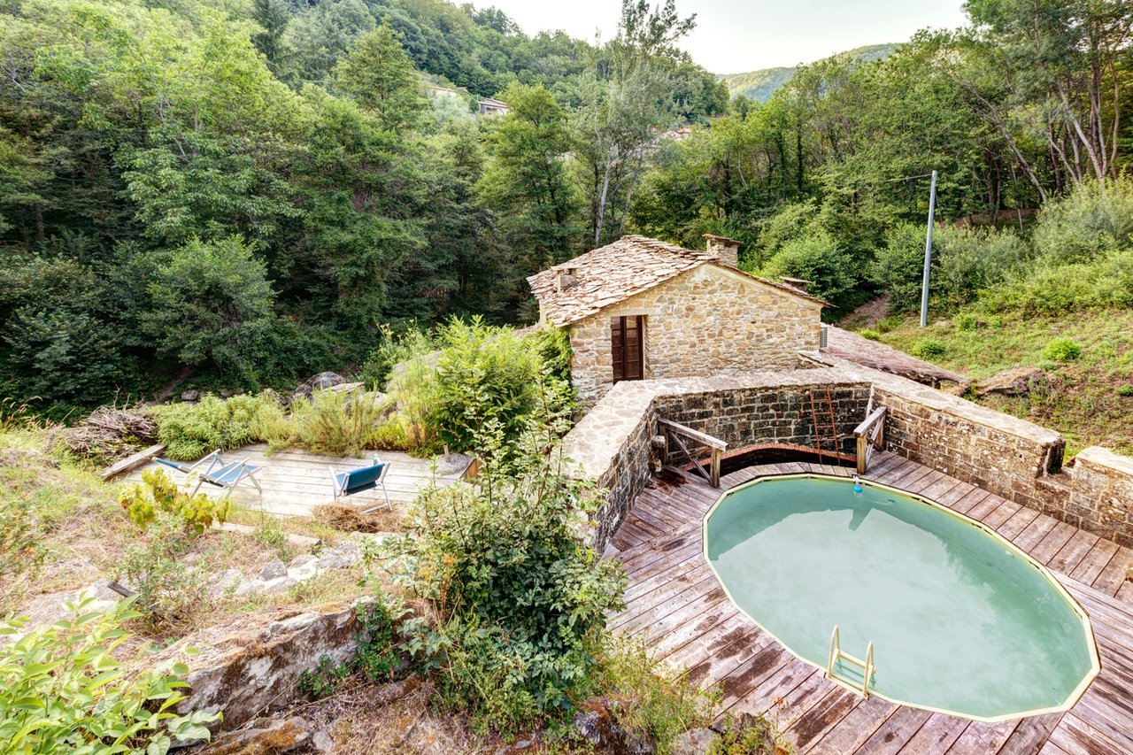 LA TANA DEL FAUNO