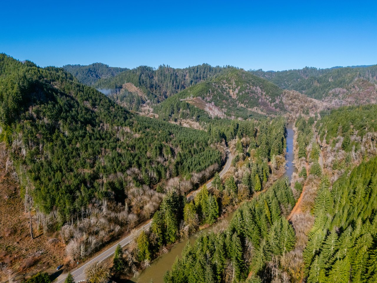 Waite Creek Woodlands