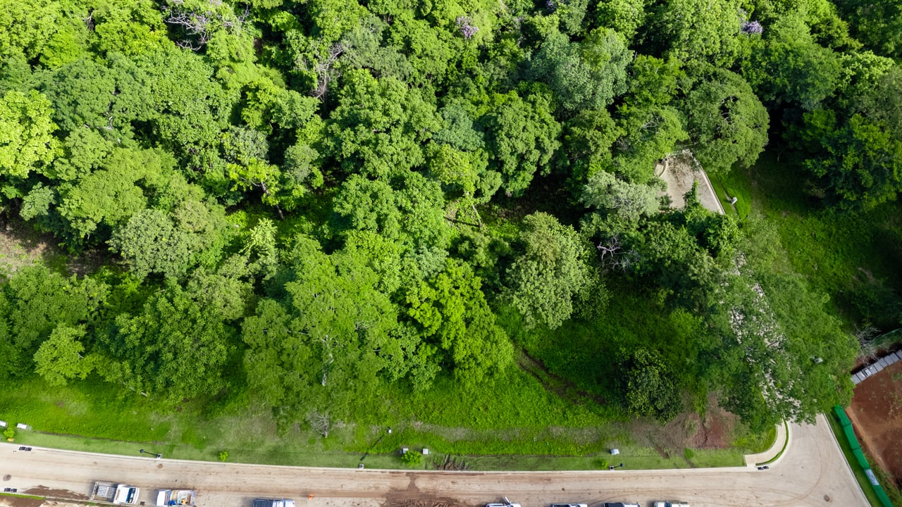 Sauco Lot #14 | Your Exclusive Haven in Reserva Conchal!