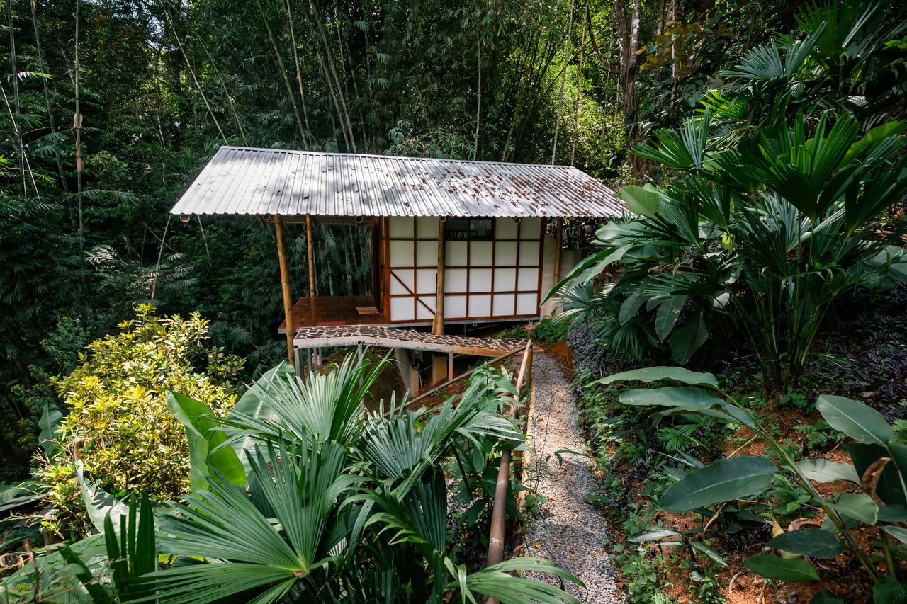 CASCADA ELYSIANA – ECO-RETREAT WITH HUGE WATERFALL