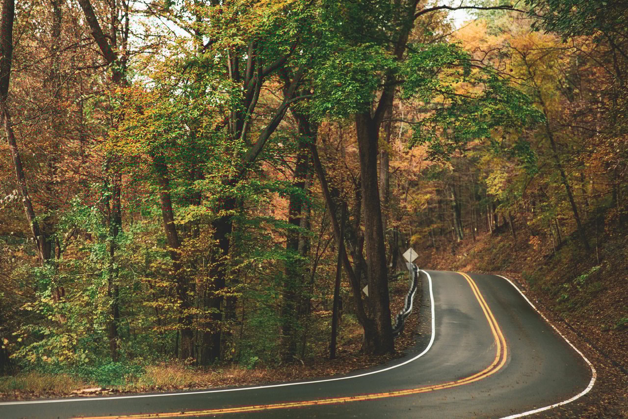 Curvey road with colorful fall leaves, a cozy weekend escape near the Main Line.