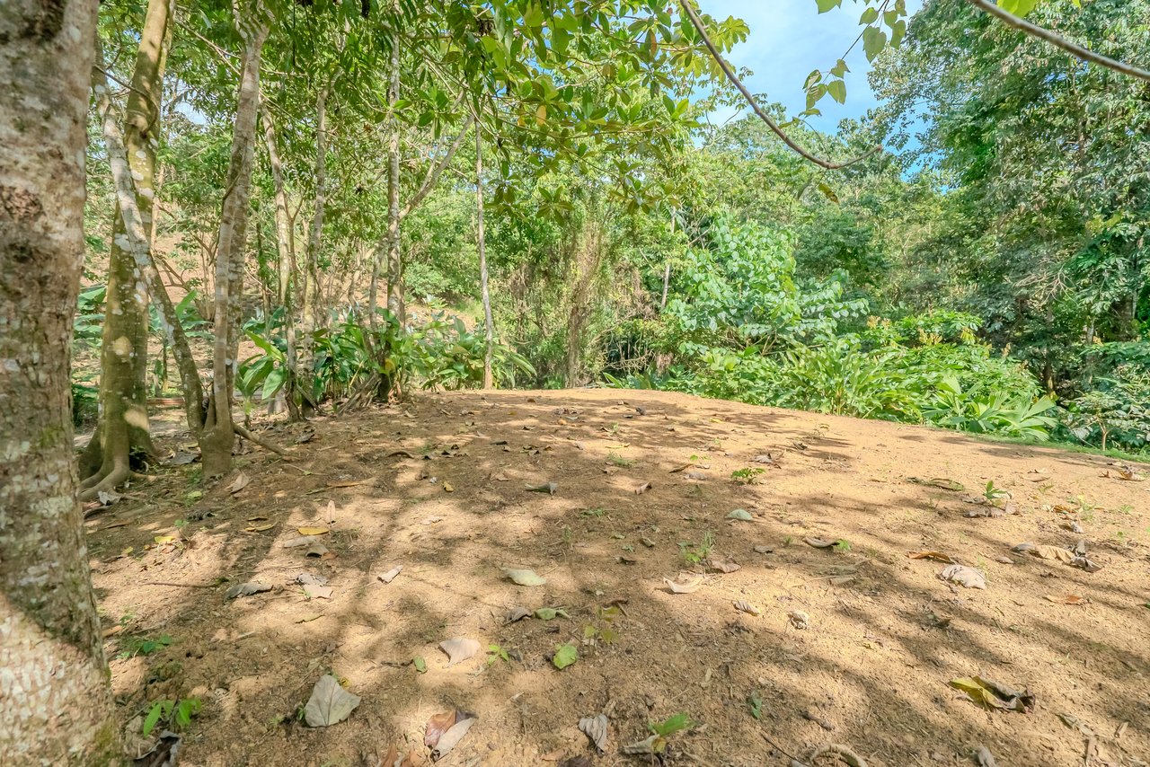 Brand New Tropical Jungle Home in Ojochal