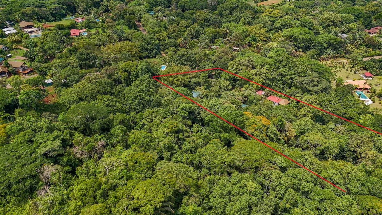 Ojochal Jungle Retreat for Sale with River, Pool, and Income-Generating Casitas