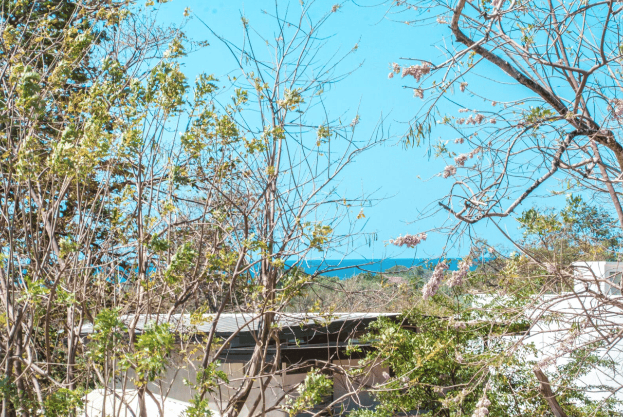 Casa Bromelia Lot 51 - Tamarindo Park