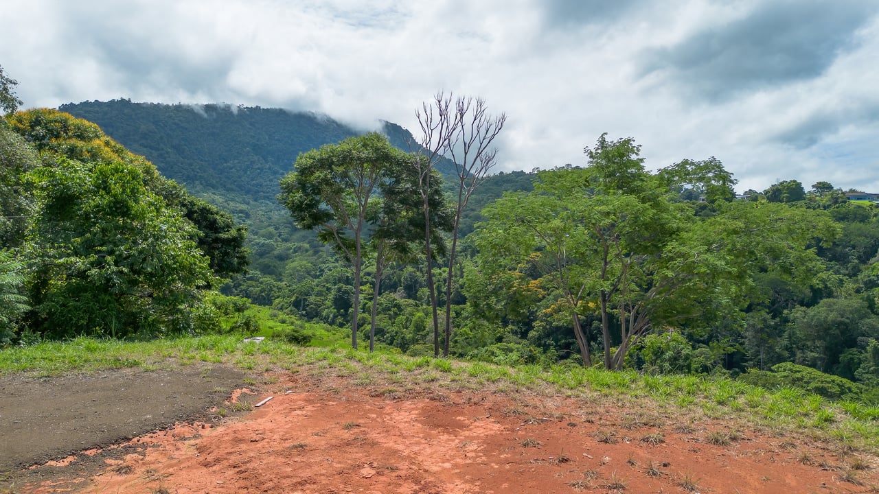  Luxury Ocean View Lot in Piñuelas - Premier Building Site 