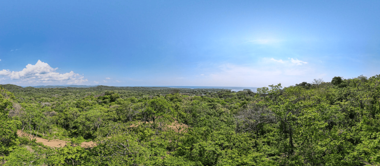 Paradise Ridge Retreat - Luxurious Oceanview Living - Senderos
