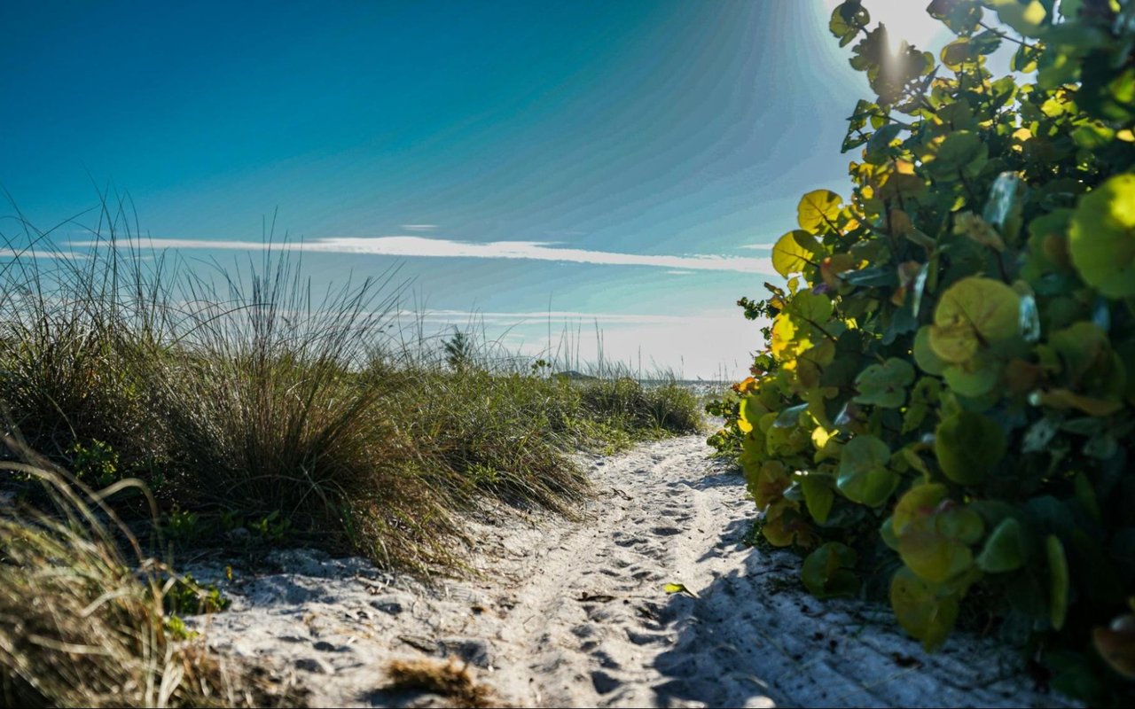 Top 5 Outdoor Activities to Do on Anna Maria Island, Bradenton, and Longboat Key