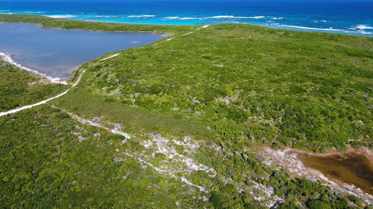 Salt Pond, Long Island