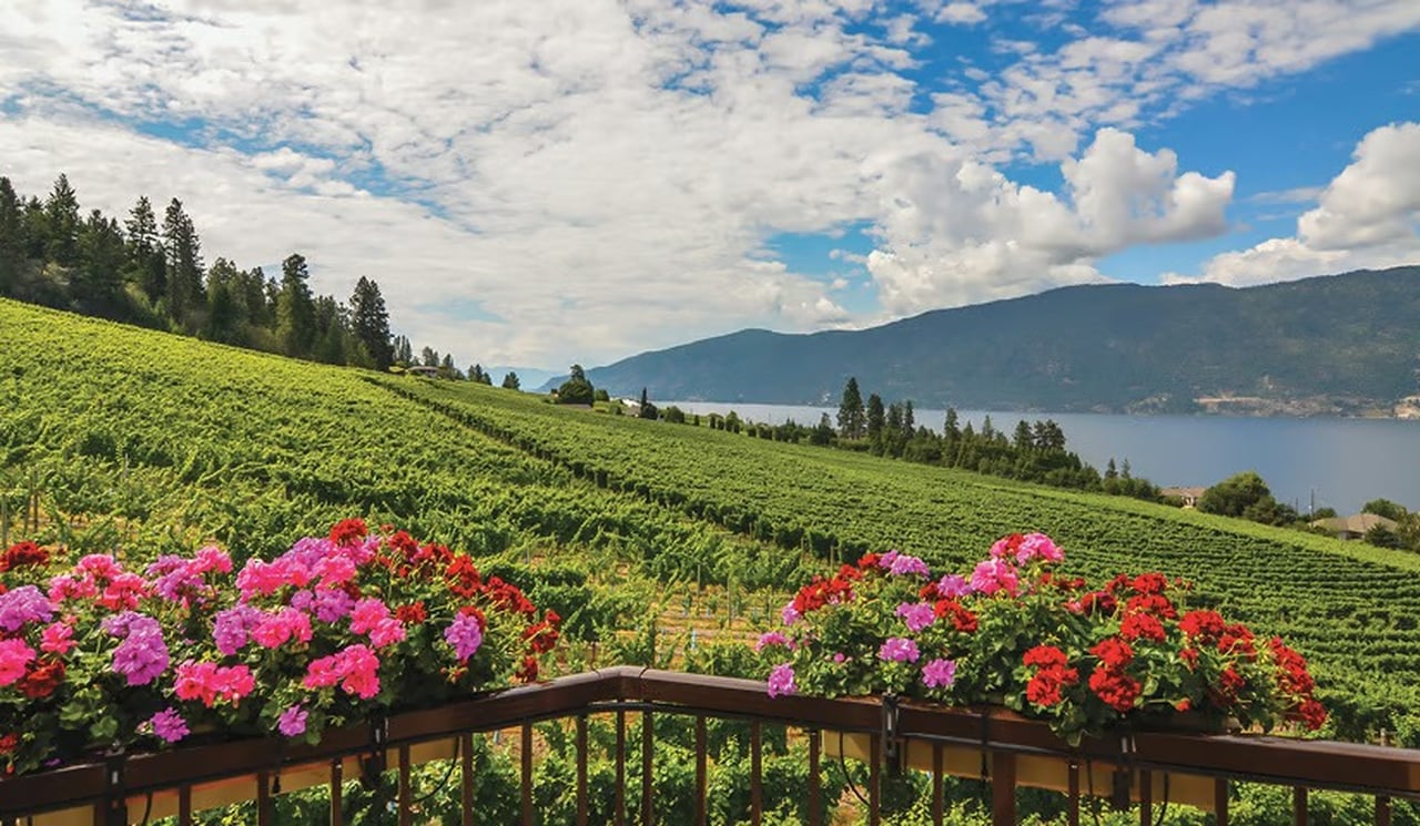 the kelowna rennie review | May 2026