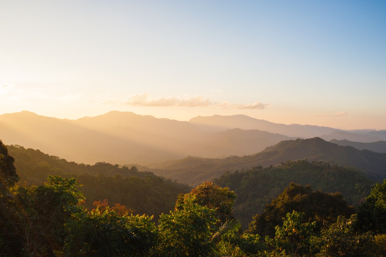 Cohutta Overlook